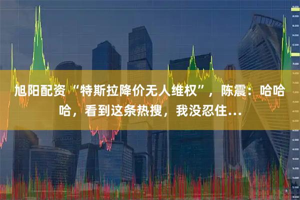 旭阳配资 “特斯拉降价无人维权”，陈震：哈哈哈，看到这条热搜，我没忍住…