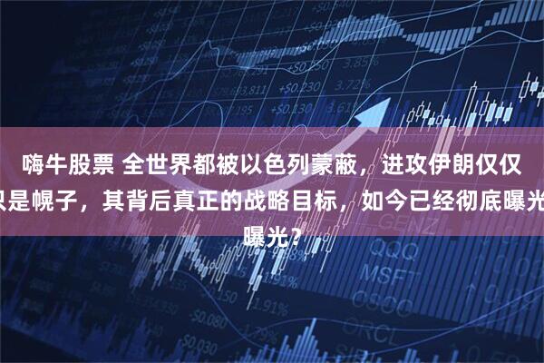 嗨牛股票 全世界都被以色列蒙蔽，进攻伊朗仅仅只是幌子，其背后真正的战略目标，如今已经彻底曝光？