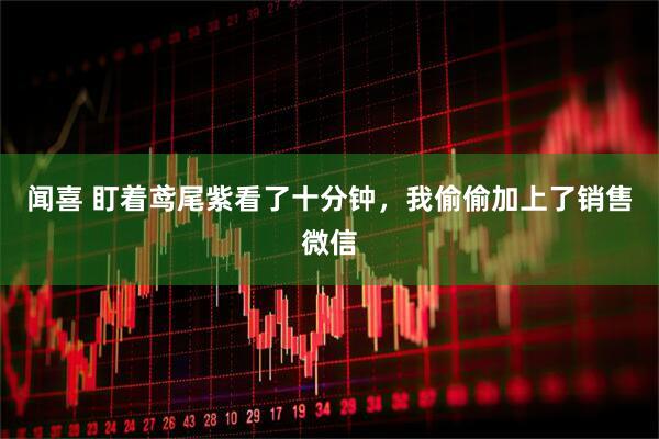 闻喜 盯着鸢尾紫看了十分钟，我偷偷加上了销售微信