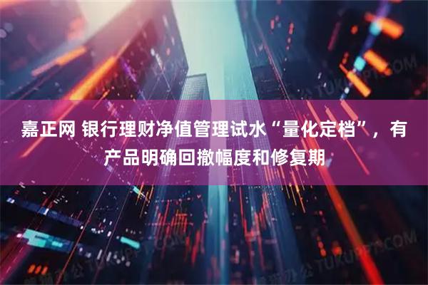 嘉正网 银行理财净值管理试水“量化定档”，有产品明确回撤幅度和修复期