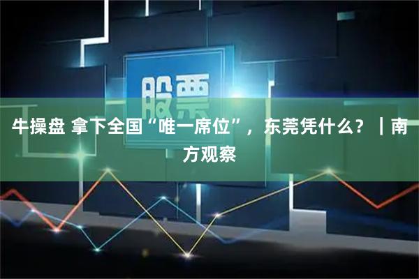 牛操盘 拿下全国“唯一席位”，东莞凭什么？｜南方观察