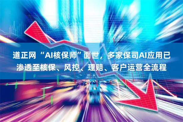 道正网 “AI核保师”面世，多家保司AI应用已渗透至核保、风控、理赔、客户运营全流程